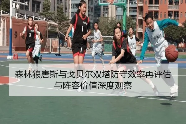 森林狼唐斯与戈贝尔双塔防守效率再评估与阵容价值深度观察