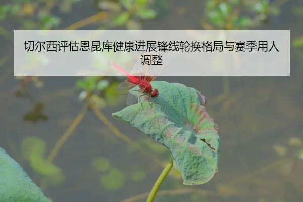 切尔西评估恩昆库健康进展锋线轮换格局与赛季用人调整
